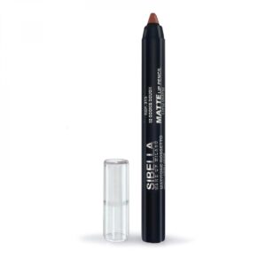 Long lasting lipstick pencil - 02 (antique pink)