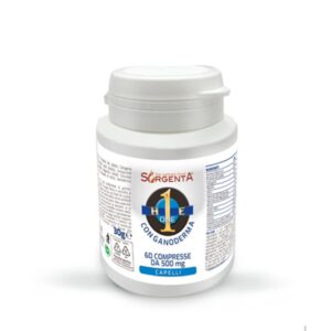 He One with Ganoderma - 60 tablets of 500mg