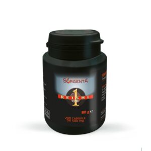 Reishi One 200 capsules of 400mg