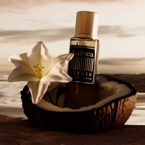 253 - Unisex Perfume 35ml Elixir