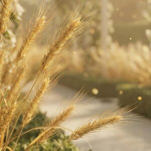 Garden of Golden Fields - Unisex Perfume 35ml Elixir